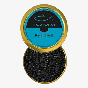 Caviale Royal Baerii Caviar Milan