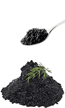 Cucchiaino di Caviale Caviar Milan