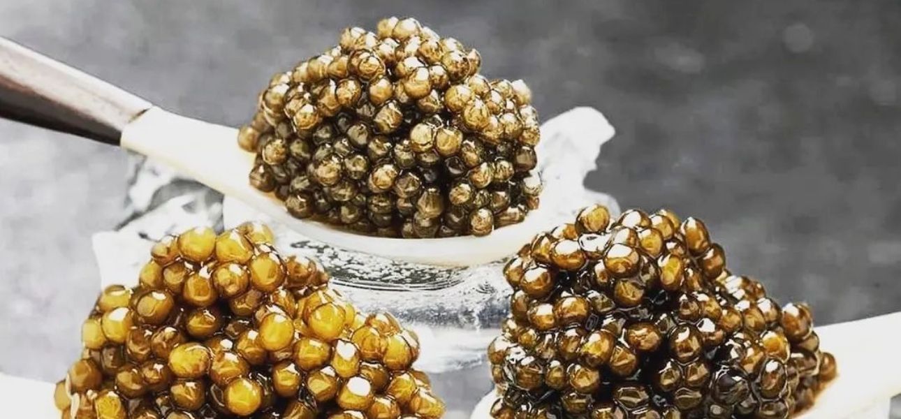 Guida al prezzo del caviale Caviar Milan